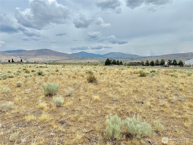 26 Old Riverside A Hwy, Omak, WA 98841 - photo 5