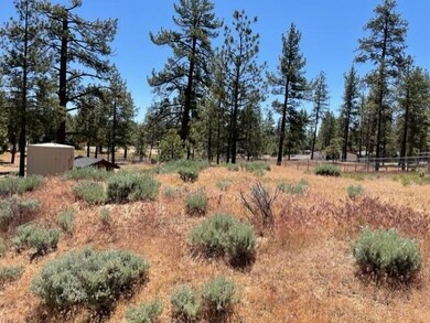 59777 California 74, Mountain Center, CA - photo 7