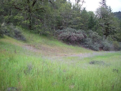 20250117002535079306000000-o