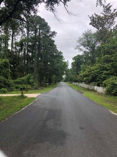 xx Purify Bay Rd, Crawfordville, FL 32327 - photo 6