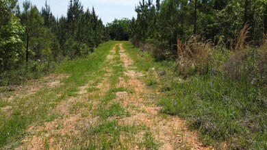 Hwy Alabama 265, Camden, AL 36726 - photo 5
