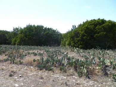 8012 Fawn Dr, Whitney, TX 76692 - photo 5