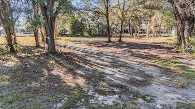 3924 N Apalachee Point, Crystal River, FL 34428 - photo 3