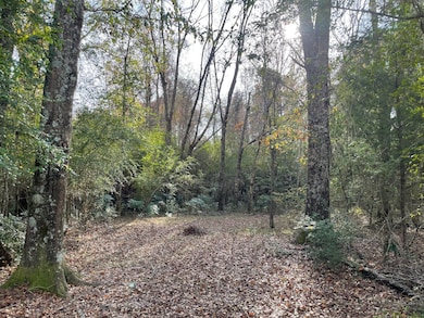 County Road 69, Selma, AL 36701 - photo 3