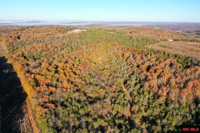 001-00776-000 Chappie Ln, Henderson, AR 72544 - photo 5