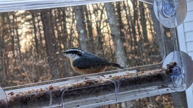 20 Meetinghouse Rd, Keene, NH 03431 - photo 4