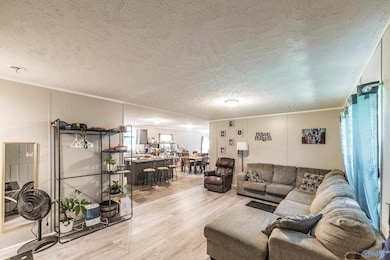 852 Boles Rd, Hazel Green, AL 35750 - photo 3