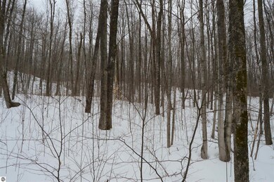 1556 S Magee Rd, Vanderbilt, MI 49795 - photo 3