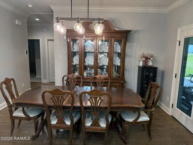 4198 Iota Hwy, Egan, LA 70531 - photo 4