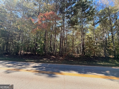 2089 Jones Ferry Rd, Elberton, GA 30635 - photo 6