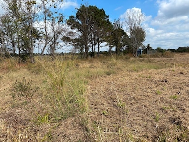 2443 Farm To Market Road 1653, Ben Wheeler, TX 75754 - photo 3