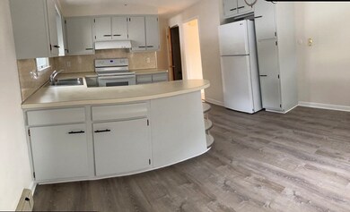 21 Cheney St, Newton, MA 02464 - photo 2