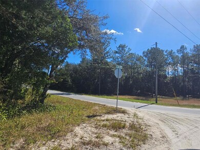 13099 SW 92nd Place, Rainbow Springs, FL 34431 - photo 4