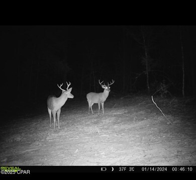 516 Goshun Creek Rd, Chipley, FL 32428 - photo 4