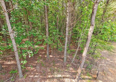 14-DJI_20250611091931_0020_D