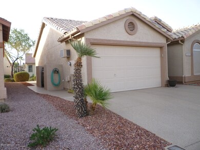 Side Yard View