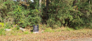 Lot 34