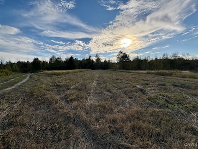 0 Rsa Rd, Hastings, NY 13036 - photo 4