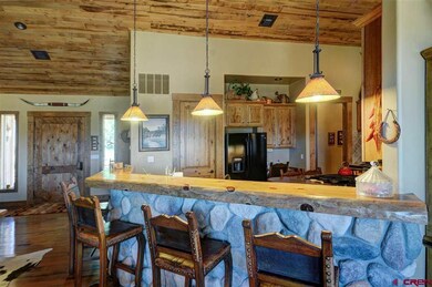 0 Highway 491 unit 735113, Dolores, CO 81323 - photo 4