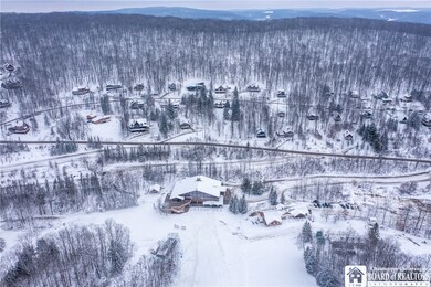 6710 & 6750 Upper Holiday Valley Rd, Ellicottville, NY 14731 - photo 4