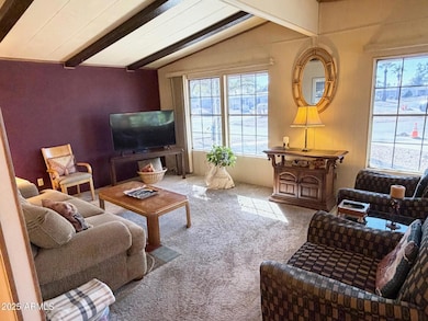 8154 E Calypso Ave, Mesa, AZ 85208 - photo 7