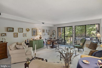 228 Canal Park Dr unit G106, Salisbury, MD 21804 - photo 5