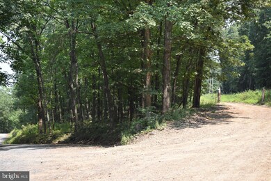 0 Tanglewood Dr, Augusta, WV 26704 - photo 5