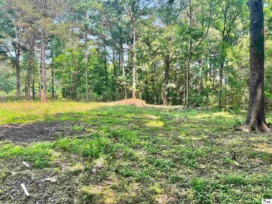 12670 Crossett Rd, Bastrop, LA 71220 - photo 5