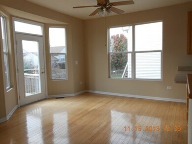 24245 Apple Tree Ln, Plainfield, IL 60585 - photo 5