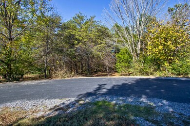 319 Gadusi Ln, Loudon, TN 37774 - photo 2