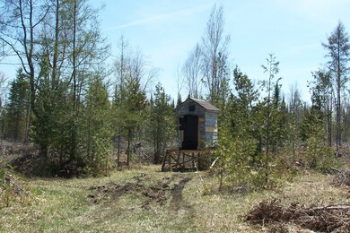 Fleming - deer blind