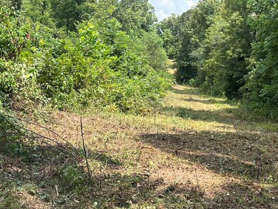 land for sale in thayer6