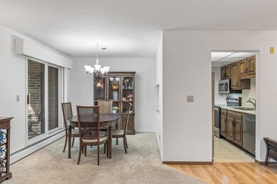 35 Nathan Ln N unit 312, Plymouth, MN 55441 - photo 5