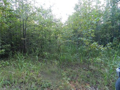 0 Old Cox Rd unit 806350, Asheboro, NC 27205 - photo 7