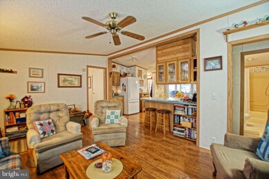 57 White Pine Dr, Millsboro, DE 19966 - photo 5