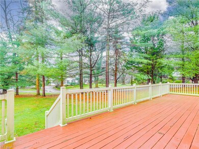 Views of the tranquil backyard