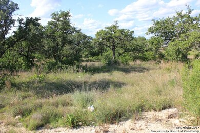 10113 Basilone Ridge, San Antonio, TX 78255 - photo 3