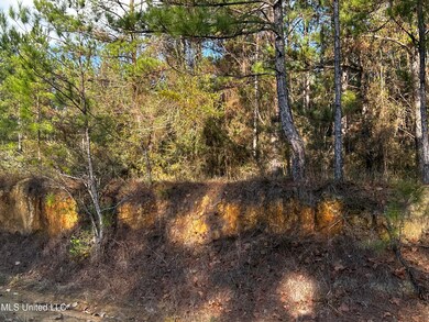 IMG_0326