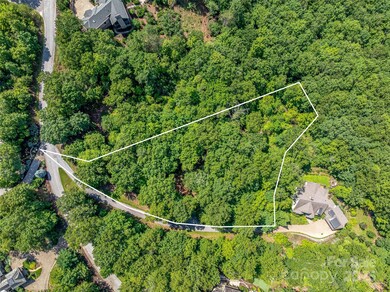 72 Smokey Ridge Trail unit 196, Arden, NC 28704 - photo 4