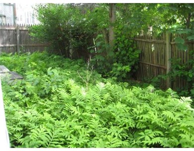 6 Wainwright St, Dorchester Center, MA 02124 - photo 4