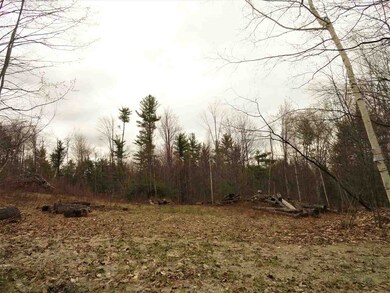 0 Lajoie Rd unit 4745549, Wilmot, NH 03287 - photo 4
