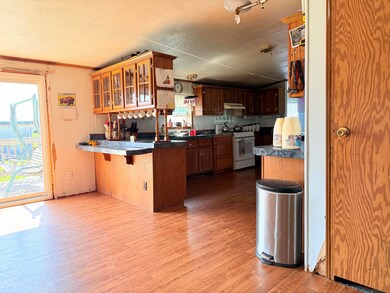 21576 Patterson Rd unit Option B, Tustin, MI 49688 - photo 5