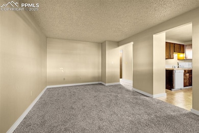 6602 Dublin Loop W unit 1, Colorado Springs, CO 80918 - photo 5