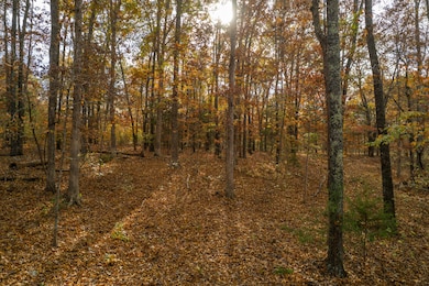 Lot 28 County Road 555 C, Bayou I Township, MO 65760 - photo 7