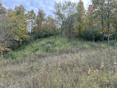 Lt2 Beaver Dam Rd, West Bend, WI 53090 - photo 3
