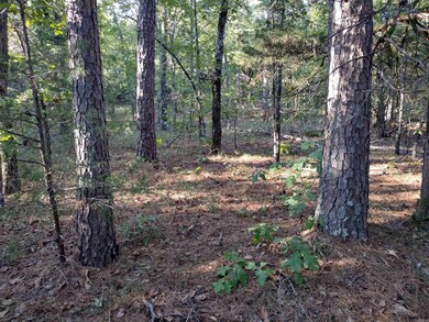 0 Arrowhead Rd, Mountain View, AR 72560 - photo 7