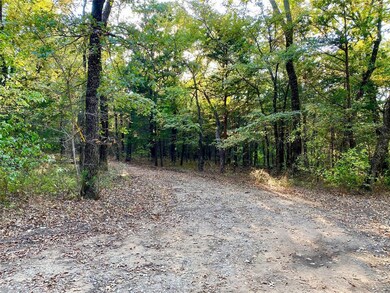 215 Easy St, Whitesboro, TX 76273 - photo 3