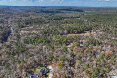 8799 Shades Fall Way, Bessemer, AL 35022 - photo 4