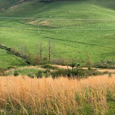 0000 Phipps Creek Rd, Burnsville, NC 28714 - photo 2