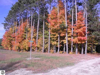 Parcel F3A Jackson Creek Rd, Kingsley, MI 49649 - photo 7